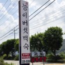 아이와 외식 갔다가 반한 능이버섯삼계탕·솥뚜껑닭볶음탕 맛집 본능이버섯백숙 내돈내산 후기