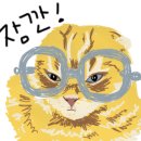 난니꼬양 이미지