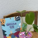 [반려학습] 반려 식집사의 식물이야기 | 대구 경북 구미 소소숲 겨울방학 키즈 원데이 클래스 그림책 명화 식물 수업