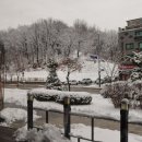 타코몰리(부천점) 이미지