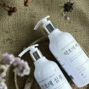 서구-01-43 이미지