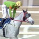 포레스트 경주(Forest 경주) | 서울경마장 2026 제29회 동아일보배(L) 라온포레스트 우승