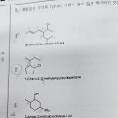 이 문제 3번 넘버링 제대로 된 거 맞나요? 이미지