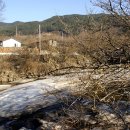 산수유축제가 열리는 구례여행 꼭가볼만한곳 이미지