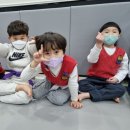 권일 태권도 네이버블로그