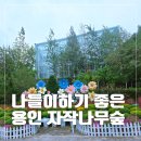 [8/23] 심리극 속 나를 찾는 여행 : 나를 또 다시 외치다 | 용인 자작나무숲 솔직 후기 핑크뮬리가 예쁘게 핀 가을 나들이로 딱 좋은 용인 갈만한곳