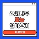 신체의 열매 | 산사나무 효능 열매 총정리