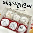 [여수] 3대 여수 딸기모찌 돌산직영점 웨이팅, 가격, 주차, 맛 내돈내산 후기