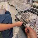 엔젤아쿠아펫가든 이미지