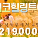 (주)허니투어 이미지