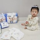 나비잠 | [나비잠 시그니처 썸머팬티 후기] 썸머기저귀 추천_얇은데 밤에도 괜찮을까