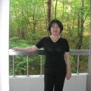 파비스 애니원 네이버블로그