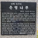 신기역 이미지