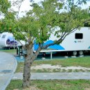 정선군생태체험학습장캠핑장 이미지