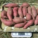 치성농장 이미지