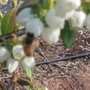 태수농장 이미지