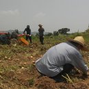 땅위의농장 이미지