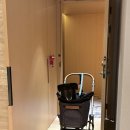 지노포트 | 콘래드 서울 펫캉스 후기 (펫밀리케이션, 펫 어메니티, 펫동반 객실 등)