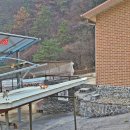 산아래나무