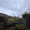 미카사 | 조용히 머물다 온 나라 미카사 료칸 후기｜온천과 가이세키의 완벽한 조화