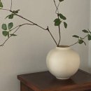 옥야동할미집 이미지