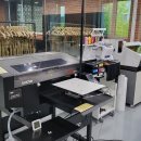 별빛마루 이미지