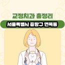 우석치과의원 | 서울특별시 중랑구 면목동 교정치과 총정리