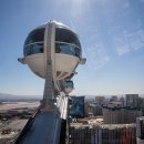 하이롤러 이미지