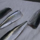 신산포구수산자연산횟집