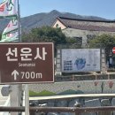 주인공원 (옥외1) | <선운사> 전북 고창군 아산면 선운산도립공원 동백꽃 홍매화 개화시기 힐링여행 다녀온 후기