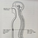 나한인 이미지
