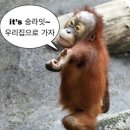바스시흥점 | 내돈내산 시흥시 인테리어 이음 계약한 후기입니듀아아