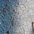 더 건강한 동물병원 이미지