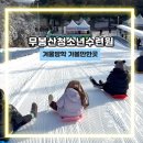 청소년수련원 | 경기도 평택 무봉산청소년수련원 눈썰매장 오픈런 후기