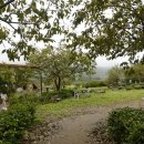 화개농협주유소 이미지