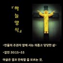 당당한 삶 이미지