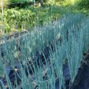 효림농장 이미지