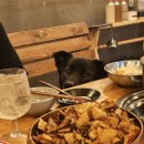 산청바이브 | 경남 대형견 동반 MZ감성 촌캉스를 느낄 수 있는 펜션 산청바이브 후기