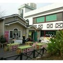 숲속연세유치원 이미지