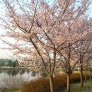 동화식당 이미지