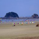 안면도 연꽃축제(태안군 남면) 이미지