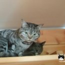 호텔구구 이미지