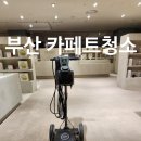 프로맥스트랜스레이션주 | 클레온 오비탈 광택기(돌돌이)로 카페트청소 하고 왔습니다