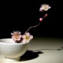 비우고 채우고 이미지