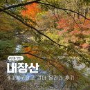 길목식당민박 | 내장산 주차 팁 케이블카 예약 실시간 가격 걸어서 올라간 후기