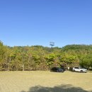 고양아람누리 노루목야외극장 | 경기도 등나무꽃 명소 동네주민밖에 모르는 숨겨진 일산 등나무 포토존 🍇💜