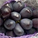 주식회사 농원 이미지