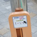 230721 | 삼척 당일치기 | 수소도시 😶‍🌫️ 뚜벅이의 시간을 지배하다..😶‍🌫️⏳️