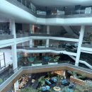 킹피트니스 | 제주 태교여행 숙소 그랜드 조선 제주 - 디럭스 스탠다드뷰 킹 , 스타벅스 , 피트니스 내돈내산 후기