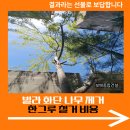 나무한그루 | 빌라 화단 나무 제거 한그루 철거 비용